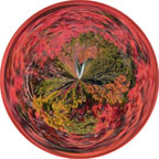 Red Swirl Circle